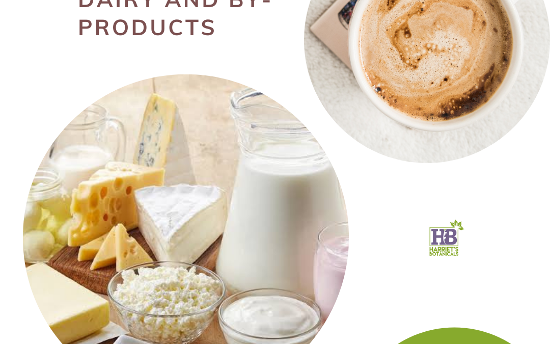 Plant-based Milk Alternatives